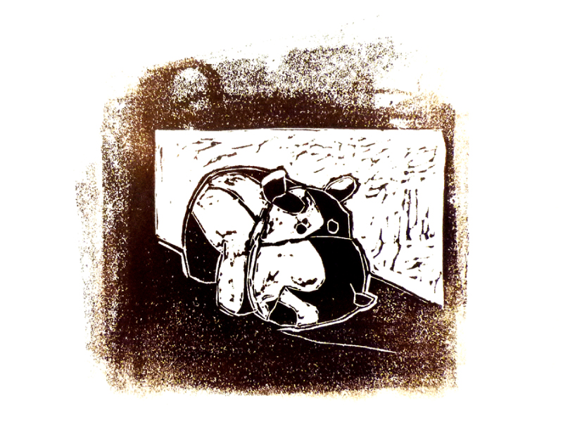 alinaerium-illustration-hippo
